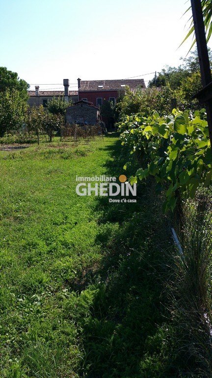 Exclusive Ghedin Real Estate