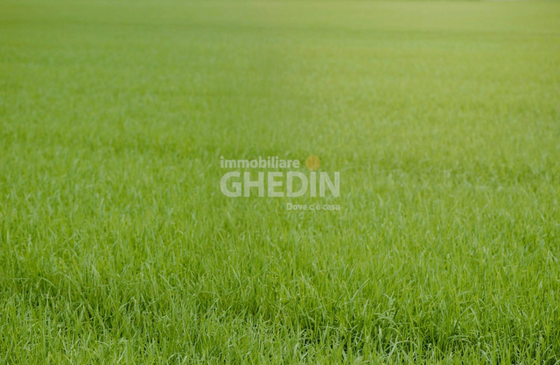 Immobiliare Ghedin